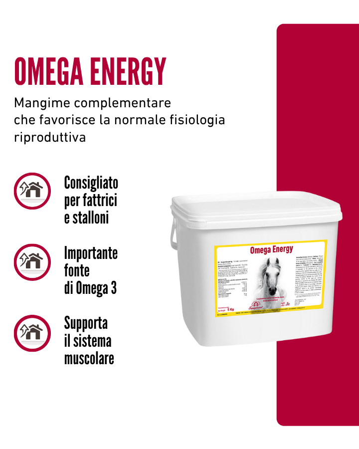 Omega Energy